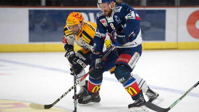 Sport Wie Wahlt Srf Die Livespiele In Den Eishockey Playoffs Hallo Srf Srf