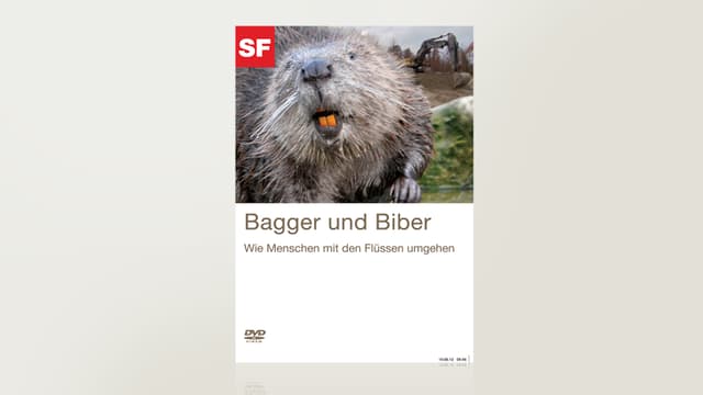 Bagger und Biber Bagger und Biber