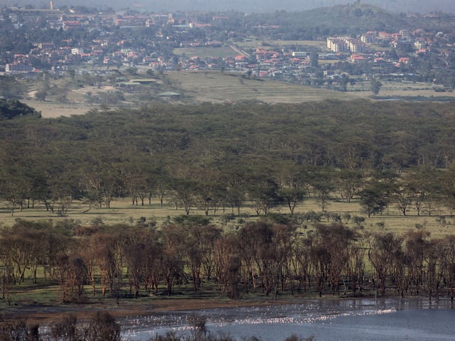 Nakurusee und Stadt Nakuru Nakurusee und Stadt Nakuru