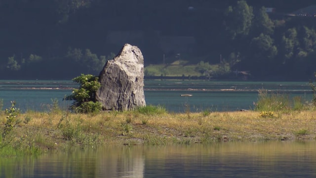 Ein Stein auf einer Insel im Urnersee Ein Stein auf einer Insel im Urnersee