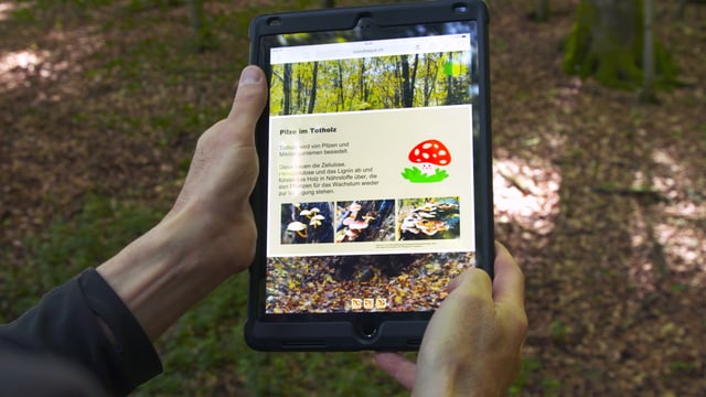 Person hält Tablet in den Händen. Person hält Tablet in den Händen.