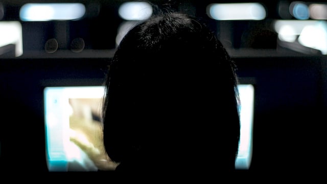 Eine Frau sitzt vor einem Computerbildschirm. Eine Frau sitzt vor einem Computerbildschirm.