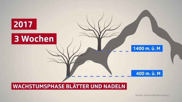 Diagramm Diagramm