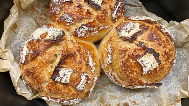 Drei runde Sauerteigbrote in einem Gusseisentopf. Drei runde Sauerteigbrote in einem Gusseisentopf.