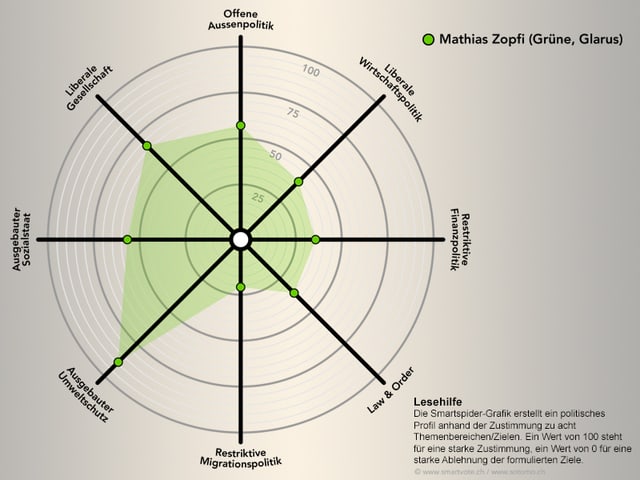 spinnennetzartige Grafik spinnennetzartige Grafik