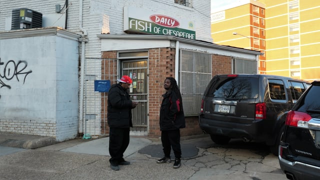 Die Knelle «Fish of Chesapeake» Die Knelle «Fish of Chesapeake»