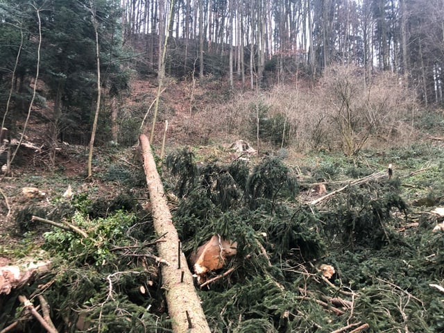 Krete mit Schutzwald links und Reben rechts. Krete mit Schutzwald links und Reben rechts.