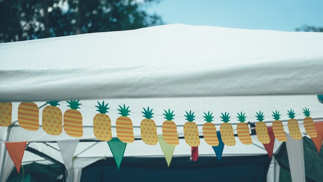 Diese Ananasse (haha) bringen ein bisschen Tropen-Feeling nach Sangalläää Diese Ananasse (haha) bringen ein bisschen Tropen-Feeling nach Sangalläää