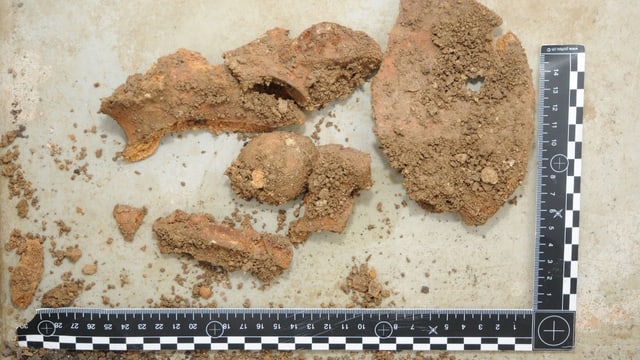 Plattenförmige Knochenteile mit schwarzem L-förmigem Zollstock. Plattenförmige Knochenteile mit schwarzem L-förmigem Zollstock.