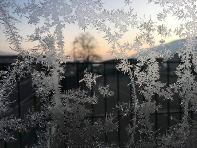 «Auf der Fensterscheibe des Bushäuschens blühten dies wunderschönen Eisblumen. Ein toller Anblick auf dem Weg zur Arbeit.»