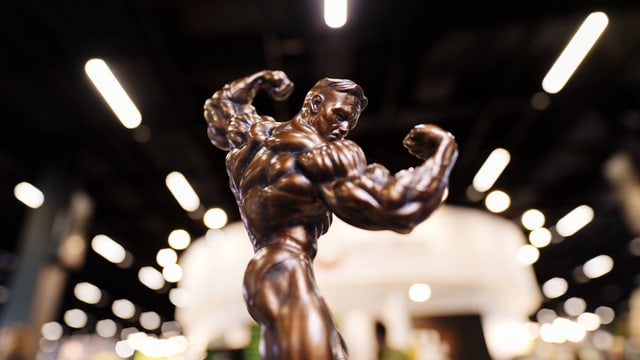 Bodybuilder-Pokal Bodybuilder-Pokal