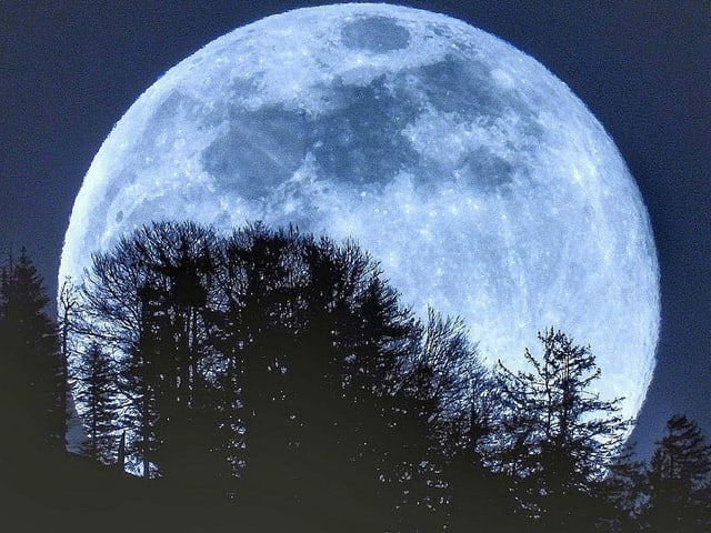 Der Vollmond geht über einer Baumreihe auf. Der Vollmond geht über einer Baumreihe auf.