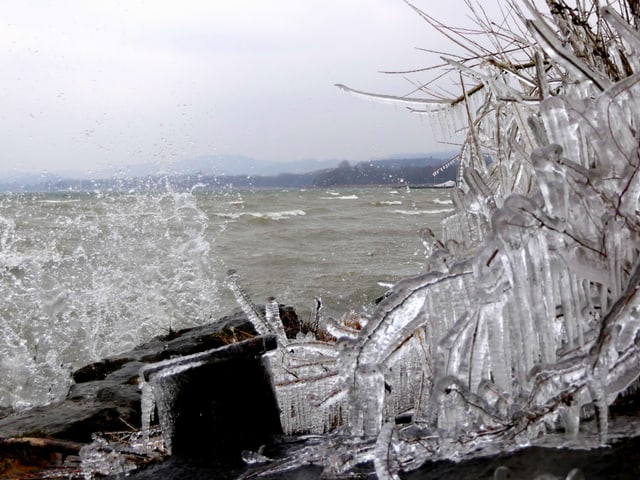 Die Gischt peitscht gegen das Ufer und gefriert an den Ästen eines Strauches. Die Gischt peitscht gegen das Ufer und gefriert an den Ästen eines Strauches.