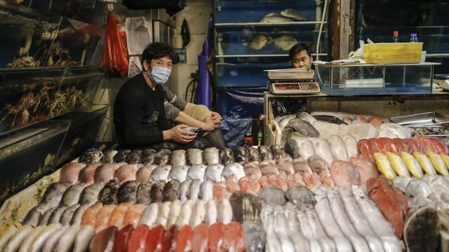 Mann an einem Fischstand. Mann an einem Fischstand.