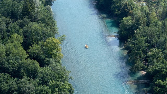 Die Aare, rund herum Büsche. Die Aare, rund herum Büsche.