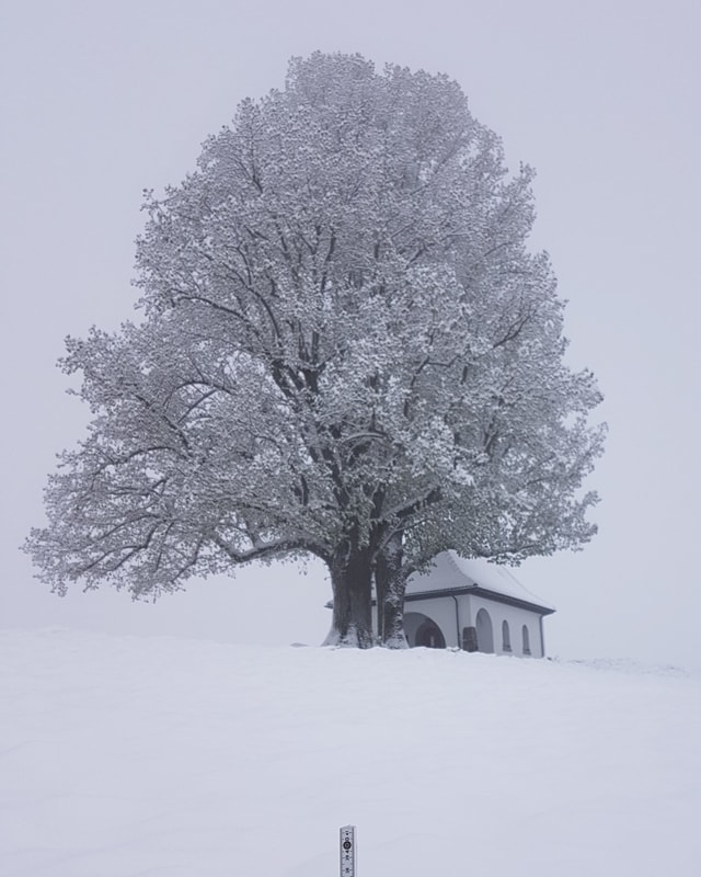 Tiefer Winter.