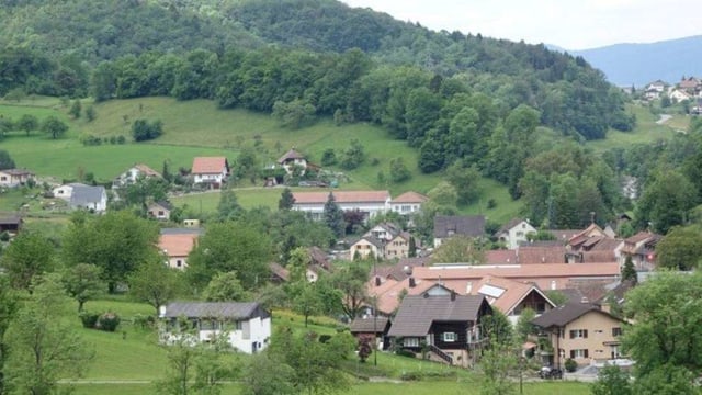 Schönes Dorf im Grünen. Auf dem Bild sind mehrere Häuser. Im Hintergrund ist der Wald sichtbar. Schönes Dorf im Grünen. Auf dem Bild sind mehrere Häuser. Im Hintergrund ist der Wald sichtbar.