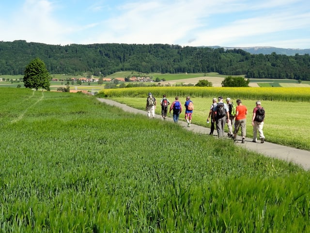 Eine Wandergruppe unterwegs auf einer geteerten Strassen. Links und Rechts sattes Grün. Am Himmel viel Blau und zarte Schleierwolken.