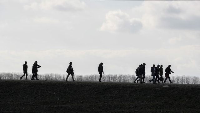 Flüchtlinge. Flüchtlinge.