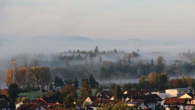 Nebelschwaden umgarnen Bäume und Häuser. Nebelschwaden umgarnen Bäume und Häuser.