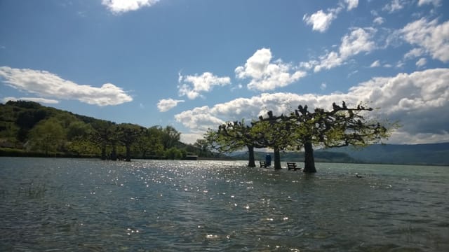 Nach den heftigen Niederschlägen von anfangs Monat war die Uferpromenade in Lüscherz auch noch am 6. Mai unter Wasser. Nach den heftigen Niederschlägen von anfangs Monat war die Uferpromenade in Lüscherz auch noch am 6. Mai unter Wasser.