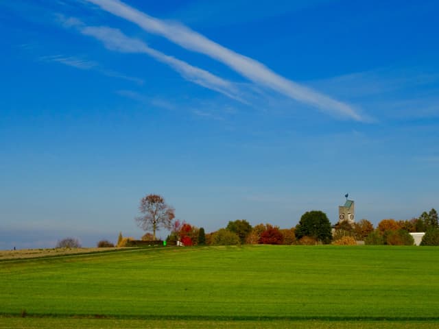 Grüne Wiese, blauer Himmel und alle Herbstfarben vereint.