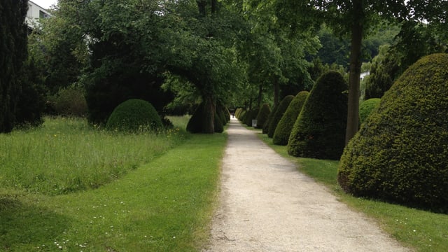Friedhofpark Friedhofpark