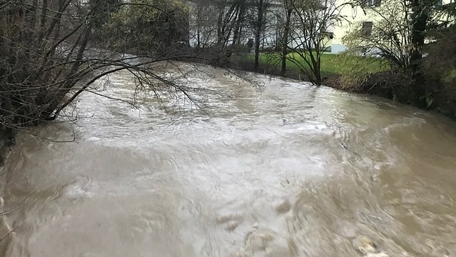 Fluss mit viel braunem Wasser. Fluss mit viel braunem Wasser.