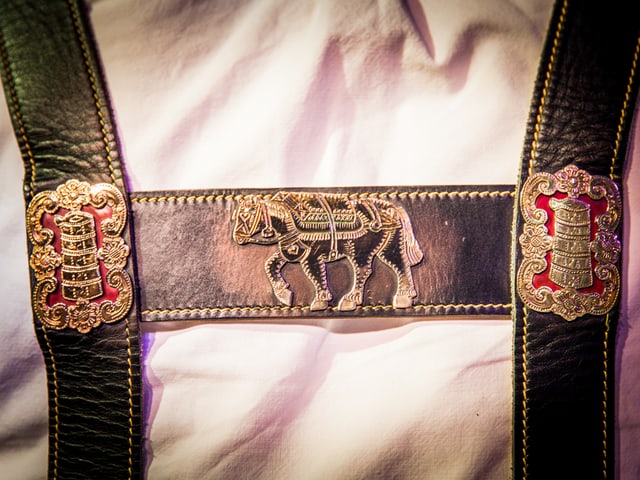 Appenzeller Tracht, Ausschnitt.