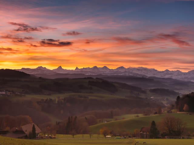 Wiesen-Wald-Hügel, im Hintergrund Berge. Darüber farbiger Himmel.