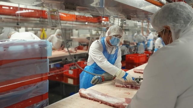Mitarbeiter des Schlachtbetriebs Tönnies Mitarbeiter des Schlachtbetriebs Tönnies
