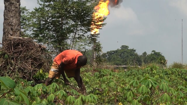 Die Gasfackeln zerstören die Ernten der Bauern. Die Gasfackeln zerstören die Ernten der Bauern.