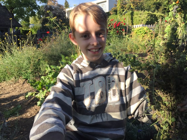 Junge im Garten Junge im Garten