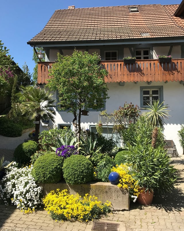 Pflanzenpracht vor einem Haus.