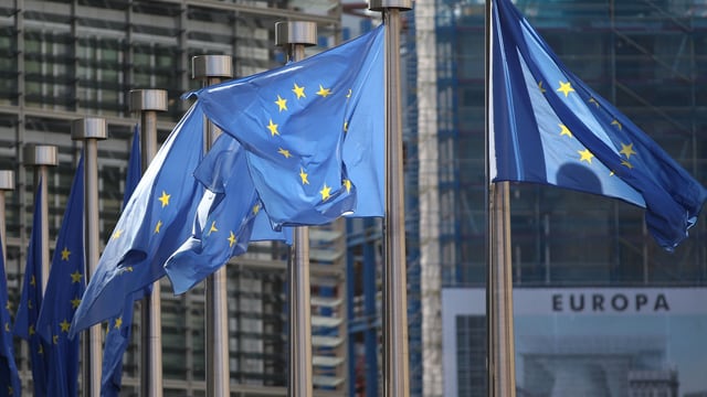 EU-Flaggen in Brüssel. EU-Flaggen in Brüssel.