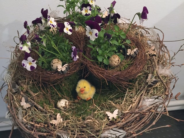 Osternest