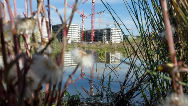 Bild der grossen Überbauung «Glattpark» in Opfikon, Zürich. (keystone) Bild der grossen Überbauung «Glattpark» in Opfikon, Zürich. (keystone)