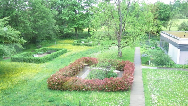 Ein Garten mit verschiedenen Hecken. Ein Garten mit verschiedenen Hecken.