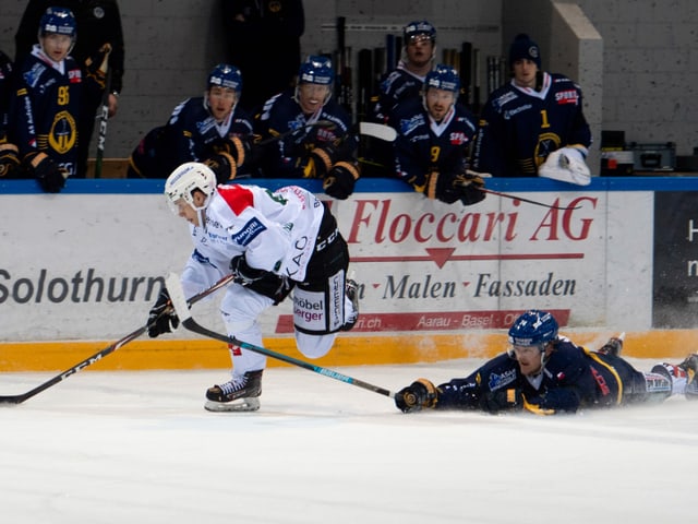 Hockeyspieler Hockeyspieler
