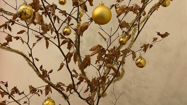Laubbaum mit goldenen Kugeln geschmückt. Laubbaum mit goldenen Kugeln geschmückt.