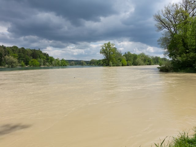 Braun verfärbtes Hochwasser wird von der thur transportiert, am Ufer viele Laubbäume. Braun verfärbtes Hochwasser wird von der thur transportiert, am Ufer viele Laubbäume.
