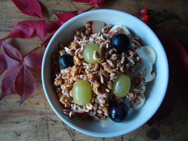 Schale mit Früchte und Yoghurtmüesli.