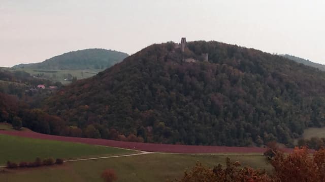 Burgruine von weitem Burgruine von weitem