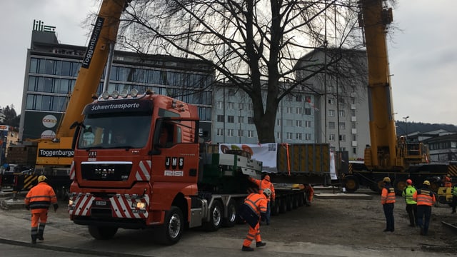 Tieflader vor Baum Tieflader vor Baum