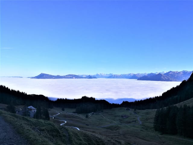 Blick über das Nebelmeer zur wolkenlosen Rigi.