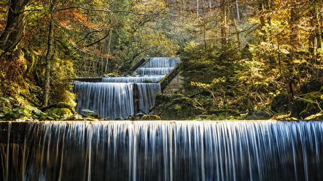 Fluss im Wald Fluss im Wald