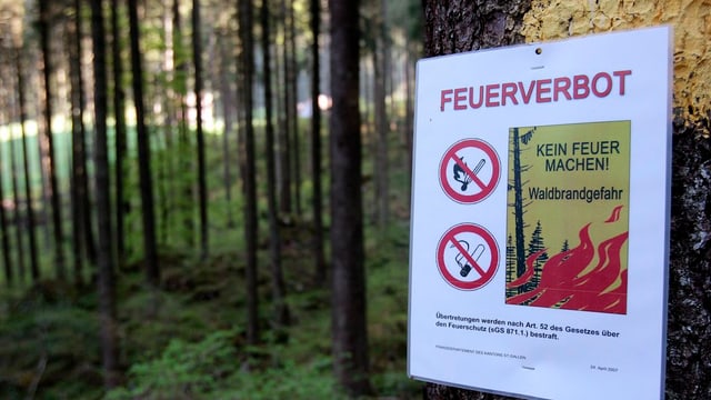 Feuerverbotsschild in einem Wald Feuerverbotsschild in einem Wald