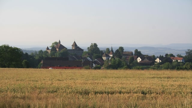 Blick über ein Kornfeld zur Kyburg. Blick über ein Kornfeld zur Kyburg.