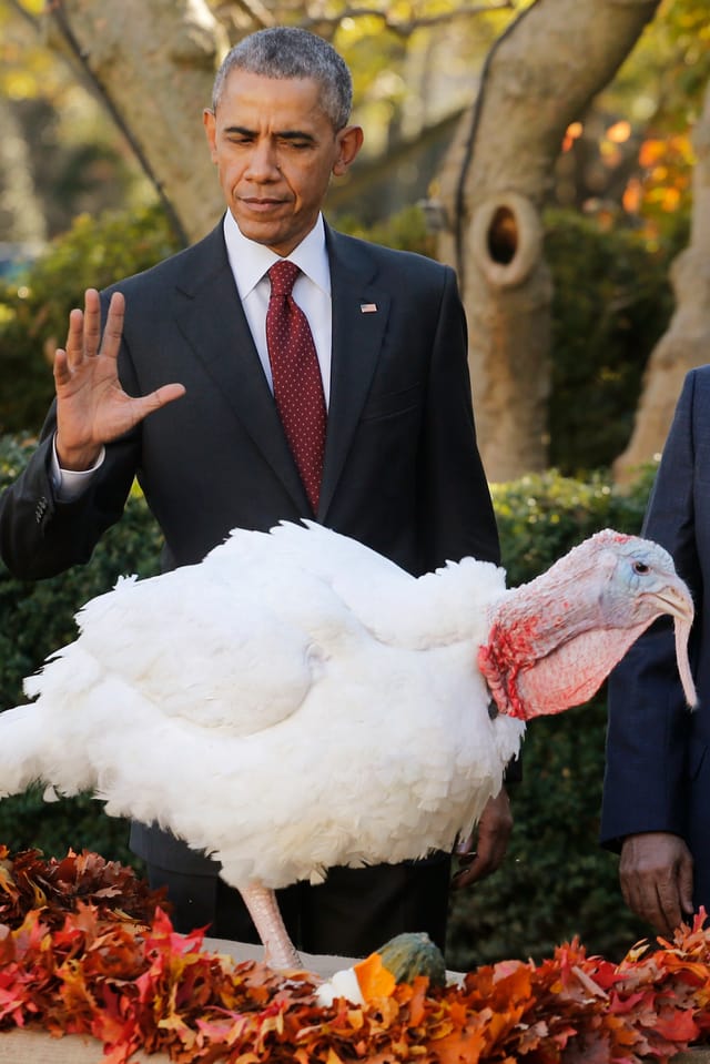 Obama mit einem Truthahn