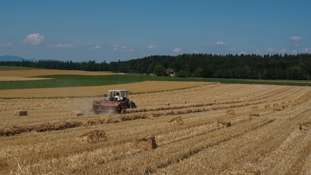 In Kernenried wird die Ernte eingefahren. In Kernenried wird die Ernte eingefahren.